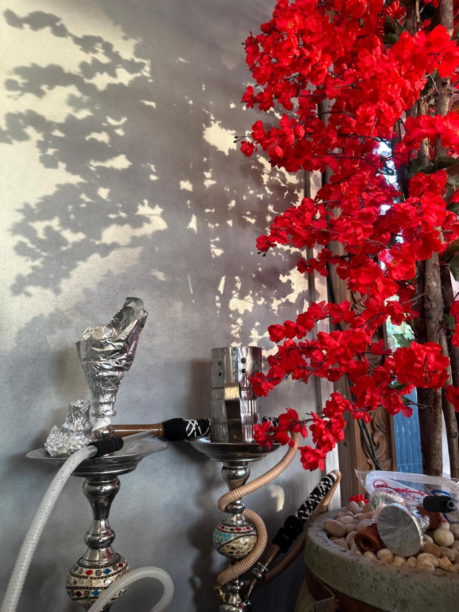 Modern 1-Bedroom Apartment In Zamalek Visits Allowed Kahire Dış mekan fotoğraf